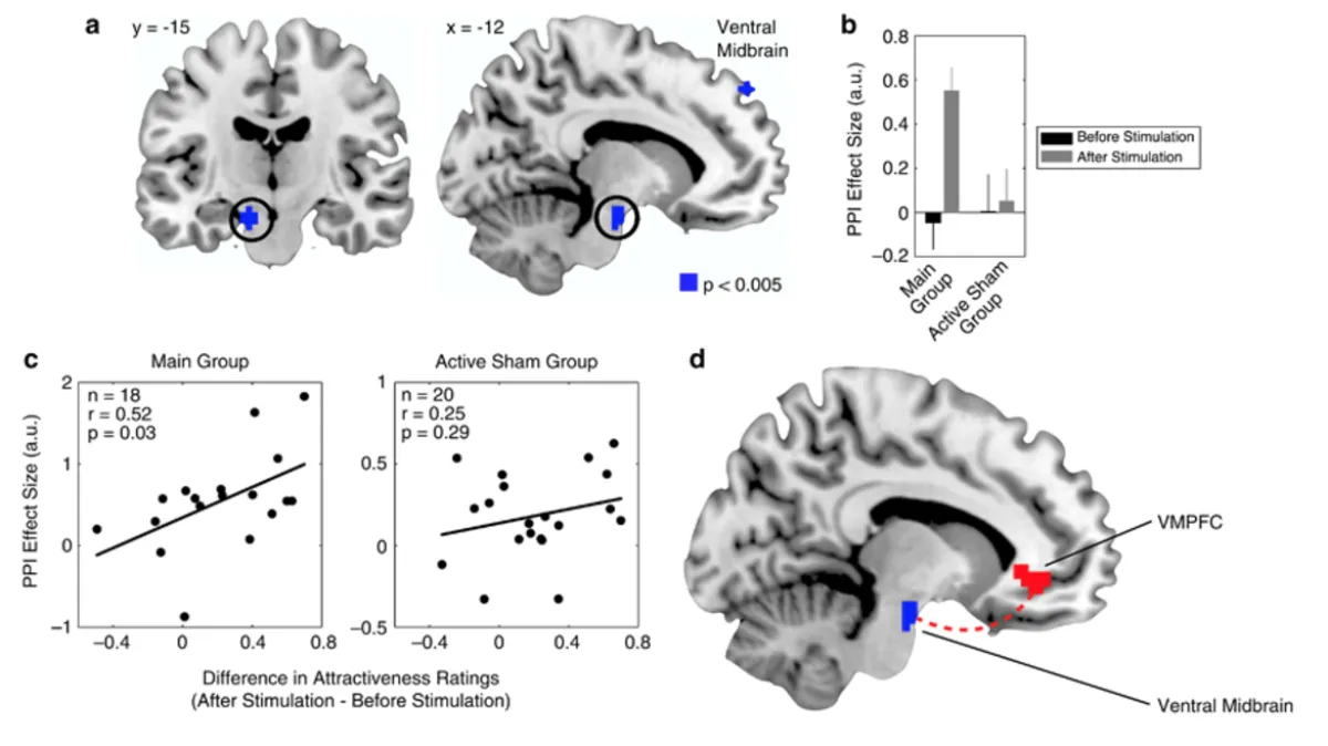 tDCS activation of ventral midbrain &mdash; fMRI PPI analysis (Chib, Yun et al.)